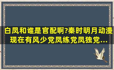 白凤和谁是官配啊?(秦时明月,动漫)现在有风少党、凤练党、凤独党...