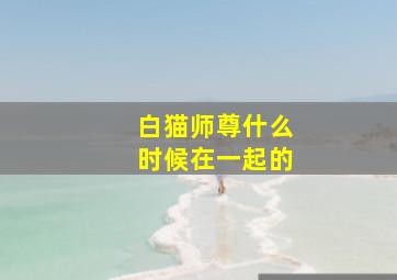 白猫师尊什么时候在一起的