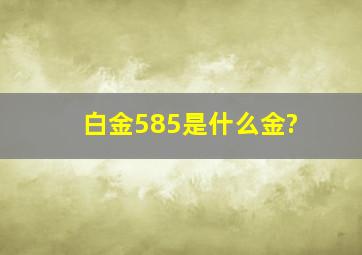 白金585是什么金?