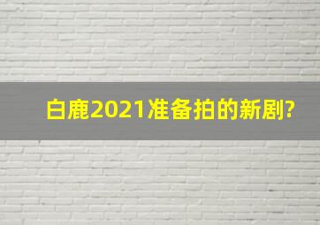 白鹿2021准备拍的新剧?