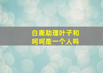 白鹿助理叶子和呵呵是一个人吗