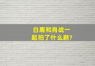 白鹿和肖战一起拍了什么剧?