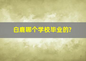 白鹿哪个学校毕业的?