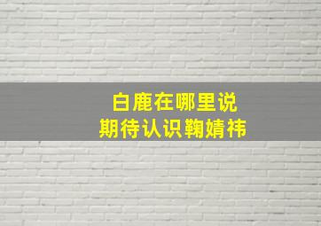 白鹿在哪里说期待认识鞠婧祎