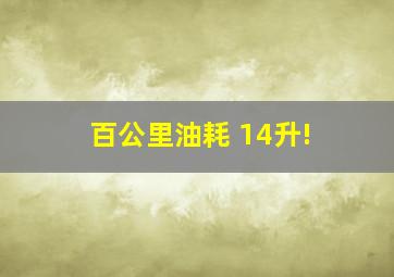 百公里油耗 14升!