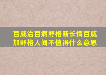 百威治百病野格断长情百威加野格人间不值得什么意思(