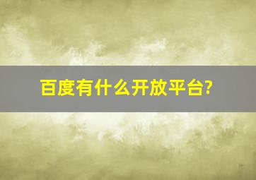 百度有什么开放平台?