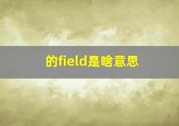 的field是啥意思