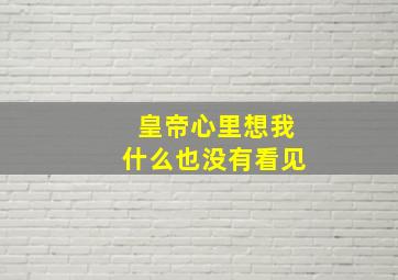 皇帝心里想我什么也没有看见