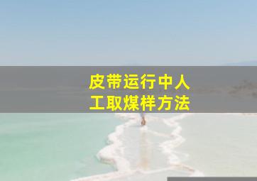 皮带运行中人工取煤样方法