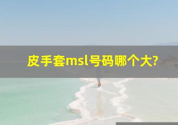 皮手套msl号码哪个大?