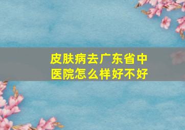 皮肤病去广东省中医院怎么样,好不好