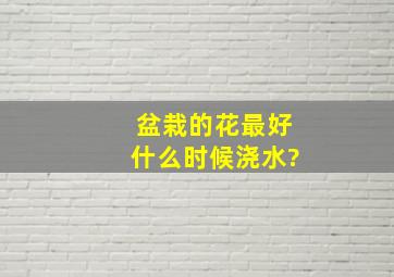 盆栽的花最好什么时候浇水?