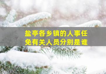 盐亭各乡镇的人事任免有关人员分别是谁(