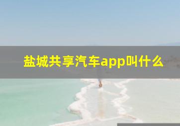 盐城共享汽车app叫什么