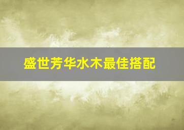 盛世芳华水木最佳搭配