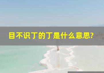 目不识丁的丁是什么意思?