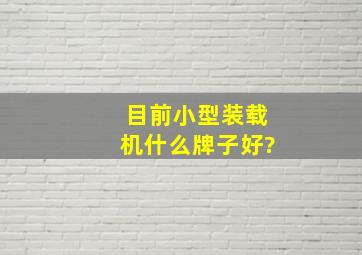 目前小型装载机什么牌子好?