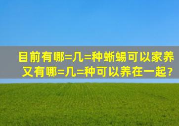 目前有哪=几=种蜥蜴可以家养又有哪=几=种可以养在一起?