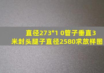 直径273*1 0管子垂直3米封头腿子直径2580求放样图