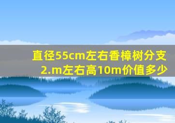 直径55cm左右香樟树,分支2.m左右,高10m价值多少