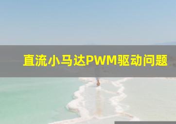 直流小马达PWM驱动问题