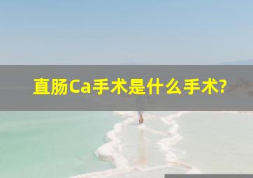 直肠Ca手术是什么手术?