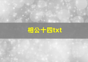 相公十四txt