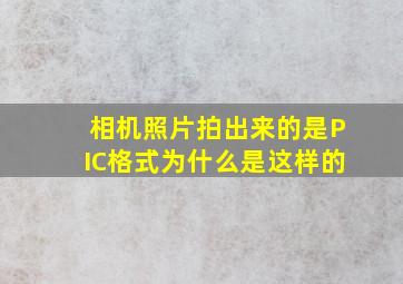 相机照片拍出来的是PIC格式,为什么是这样的