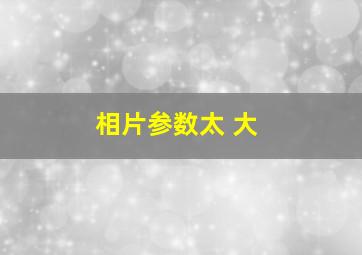 相片参数太 大