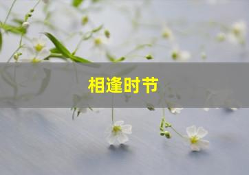 相逢时节