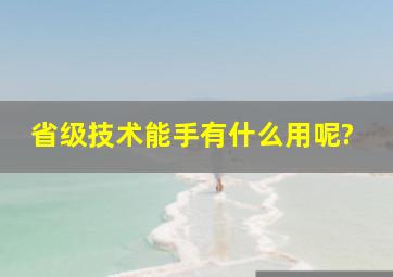 省级技术能手有什么用呢?