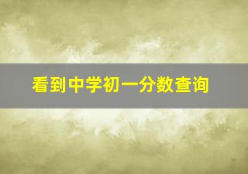 看到中学初一分数查询