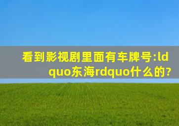 看到影视剧里面有车牌号:“东、海”什么的?