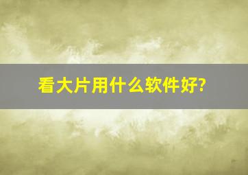 看大片用什么软件好?