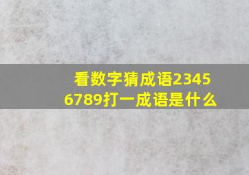 看数字猜成语23456789打一成语是什么