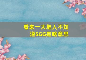 看来一大堆人不知道SGG是啥意思