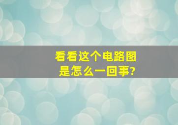 看看这个电路图,是怎么一回事?