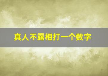 真人不露相。打一个数字