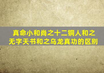 真命小和尚之十二铜人和之无字天书和之乌龙真功的区别