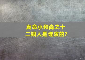 真命小和尚之十二铜人是谁演的?