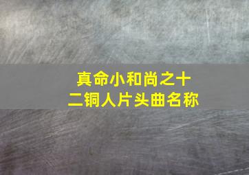 真命小和尚之十二铜人片头曲名称