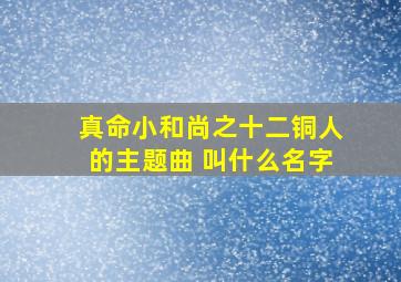 真命小和尚之十二铜人的主题曲 叫什么名字