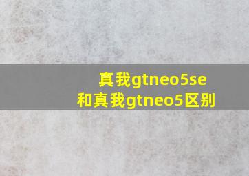 真我gtneo5se和真我gtneo5区别