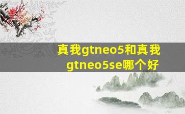 真我gtneo5和真我gtneo5se哪个好