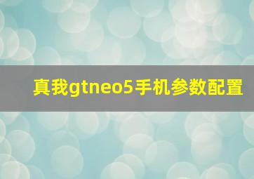 真我gtneo5手机参数配置