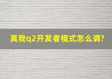 真我q2开发者模式怎么调?