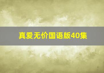 真爱无价国语版40集