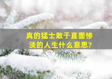 真的猛士,敢于直面惨淡的人生什么意思?