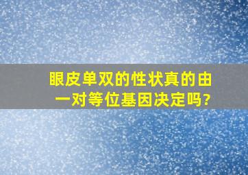 眼皮单双的性状真的由一对等位基因决定吗?